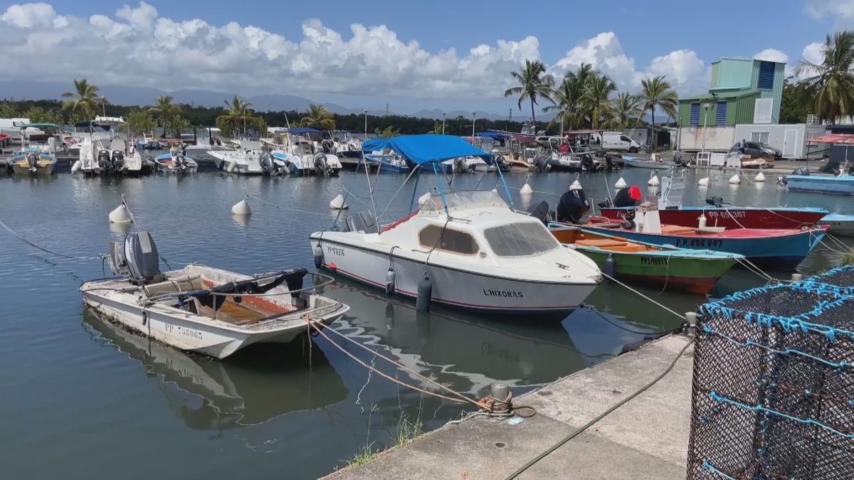Le port de pêche de Lauricisque, ses barques colorées et la mangrove en arrière-plan